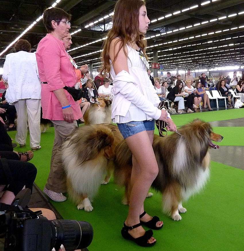  le CHAMPIONNAT de France, (v. 8 juillet) à Paris: REPORTAGE PHOTOS  Champi91