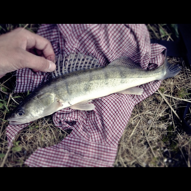 - Au fil de l'eau ... 08072010