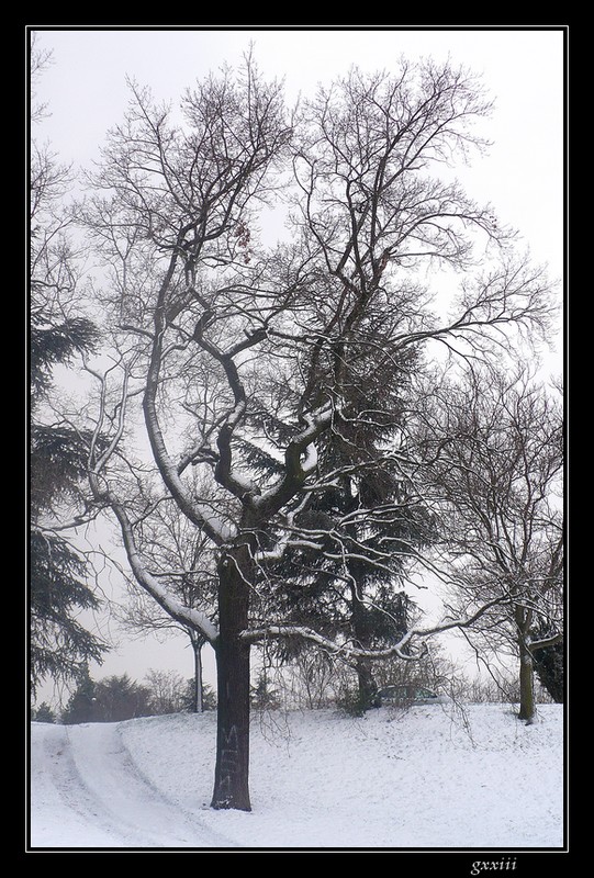 Le temps  Saint-Etienne au jour le jour (bis) - Page 7 05030825