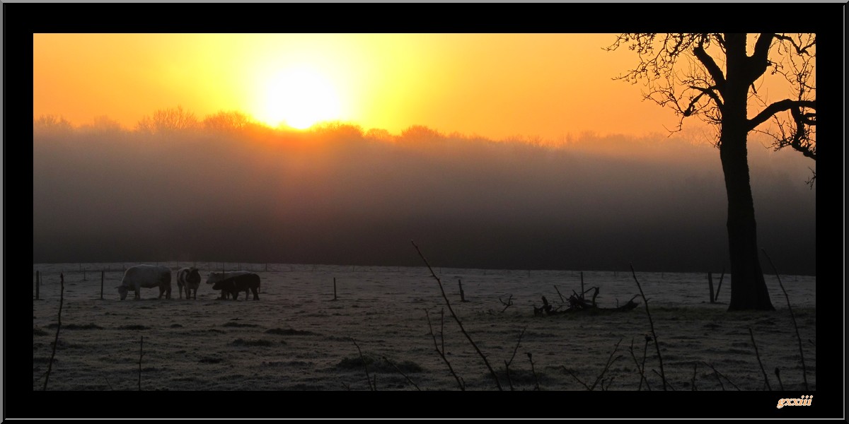 Brume ou brouillards... - Page 2 10121111