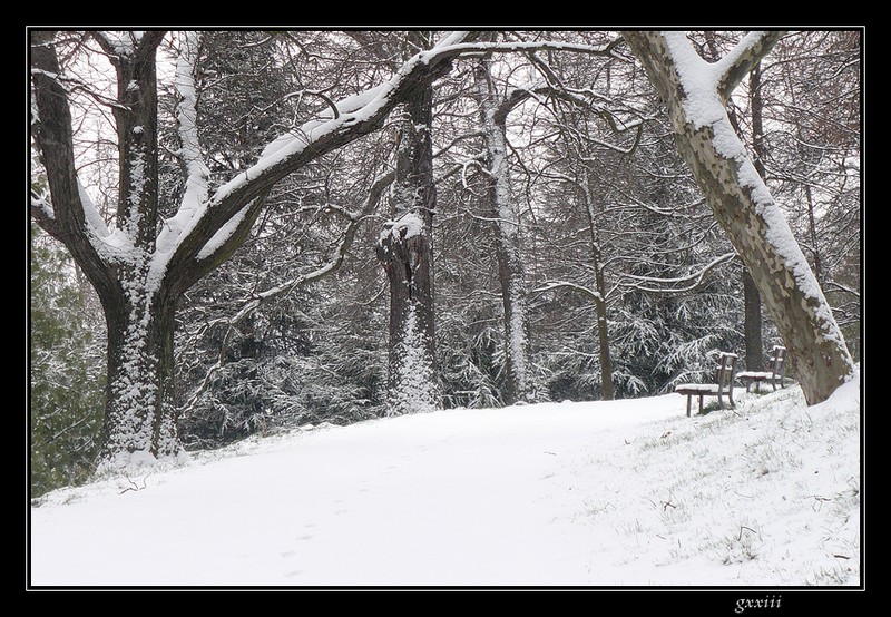 23 et 24/03/08, neige de printemps bis 24030818