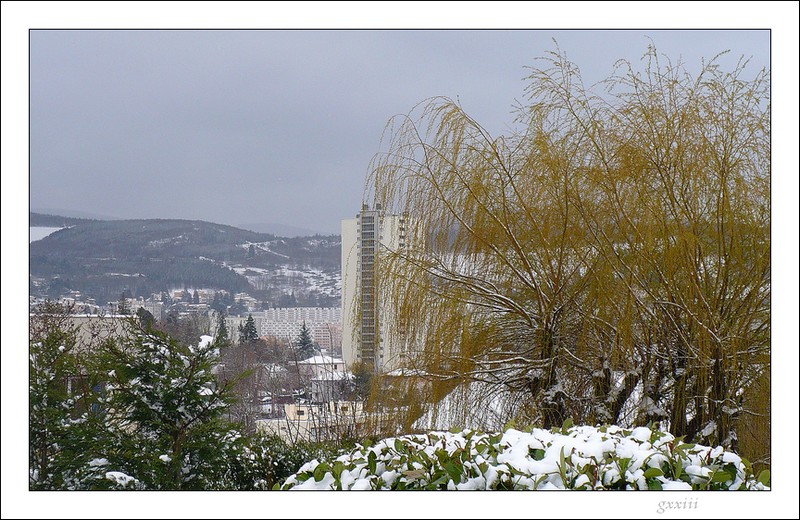 23 et 24/03/08, neige de printemps bis 24030822