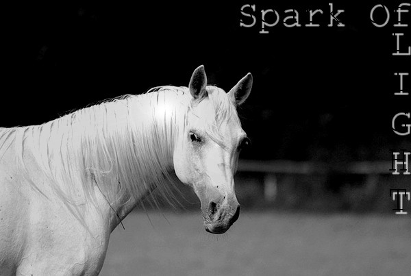 Spark Of Light (Terminé ) Spark_10