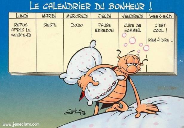 calendrier humain... le lien restera page 1 - Page 8 08102010