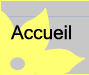 Accueil