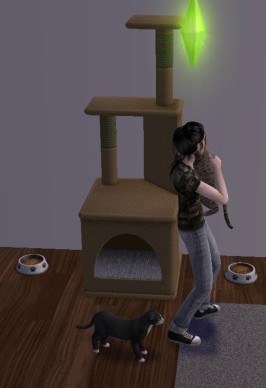 Les Sims 2 + LA famille - Page 3 Snapsh21