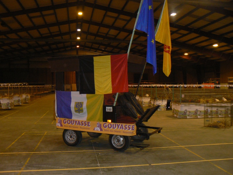 Ath Concours provinciaux et franco-belge P1400124