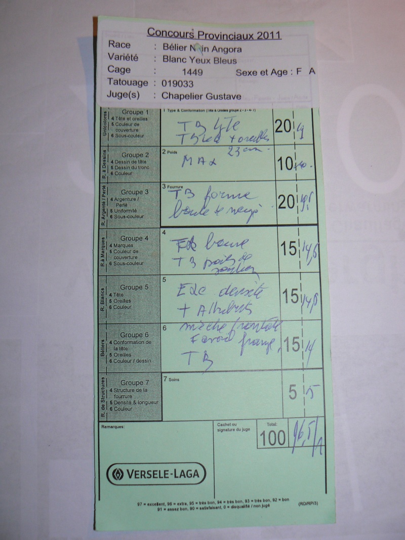 quelques résultats lapins des provinciaux Ath P1400433