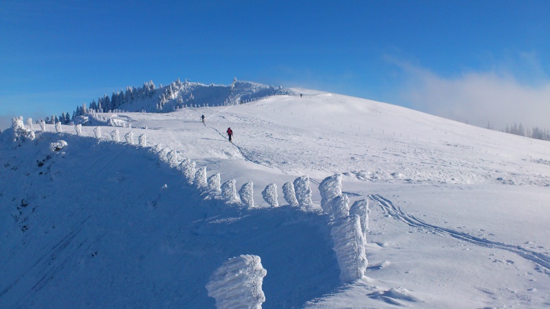 Ski-Alpinisme: La Berra 1er décembre 2012 Dsc_0310
