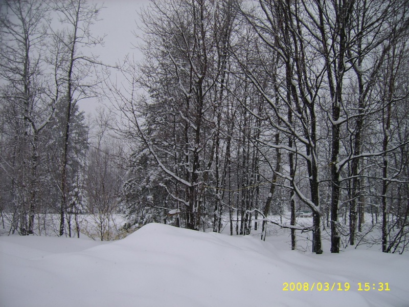 La neige au Qubec Ssa53183