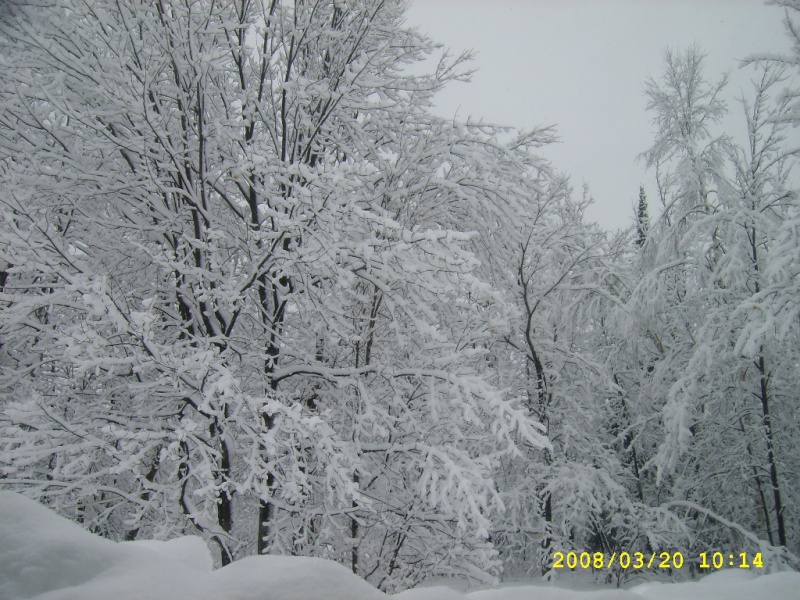 La neige au Qubec Ssa53190