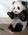 Kung Fu Panda. Panda410