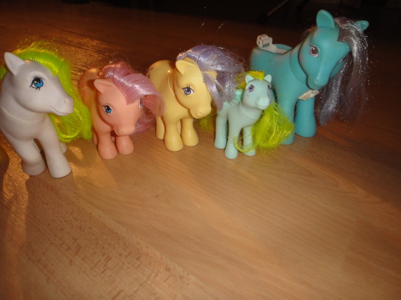 Ma toute petite collection de poneys Dsc01221