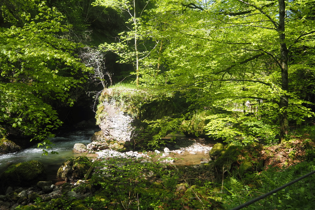 CANTAL P5110015