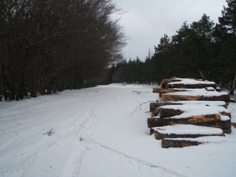 traineau au pic de nore Piste10