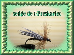 interview: pascalcar Sedge_10