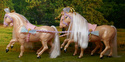 [BARBIE] Une partie de mes Barbies p1 et surtout mes CHEVAUX ! P1150419