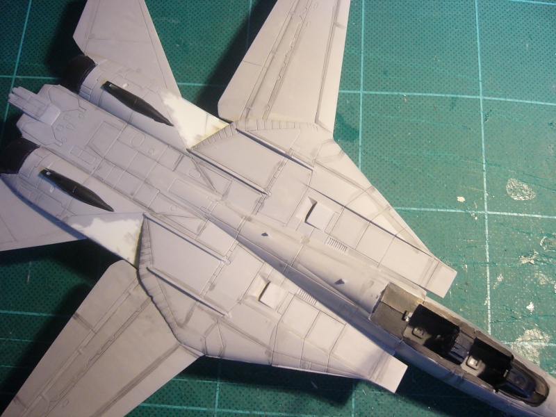 [Revell] F14D Tomcat - 1/72  P1010325