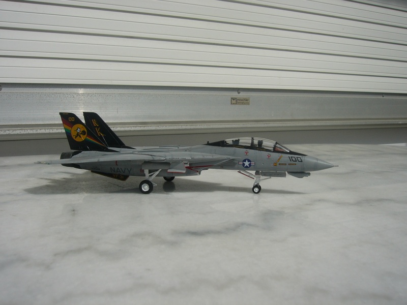 [REVELL] F-14D Tomcat P1010423