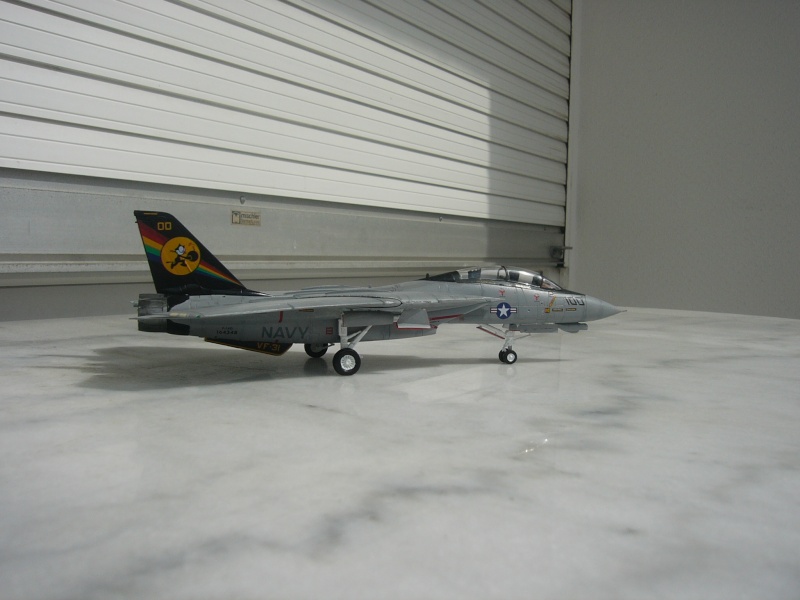 [REVELL] F-14D Tomcat P1010424