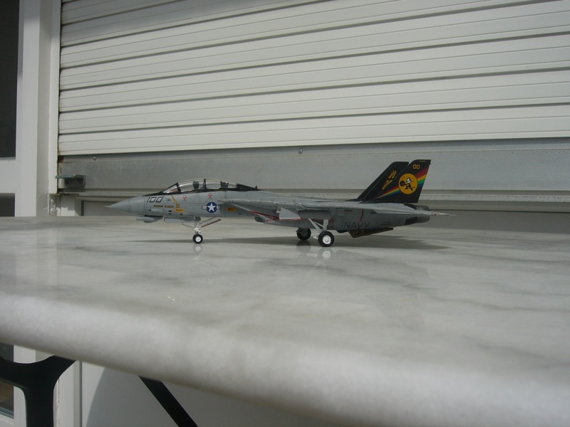 [REVELL] F-14D Tomcat P1010426