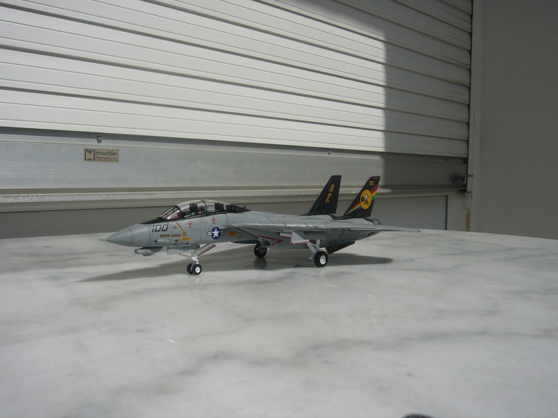 [REVELL] F-14D Tomcat P1010427