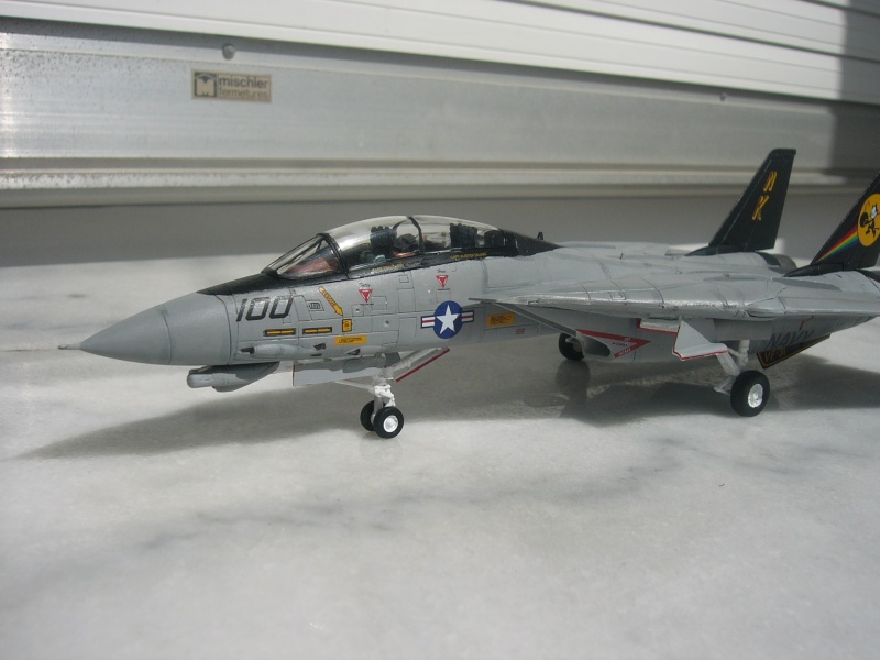 [REVELL] F-14D Tomcat P1010430