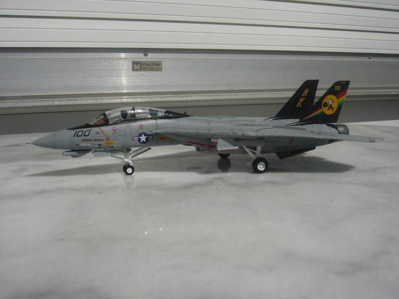 [REVELL] F-14D Tomcat P1010431