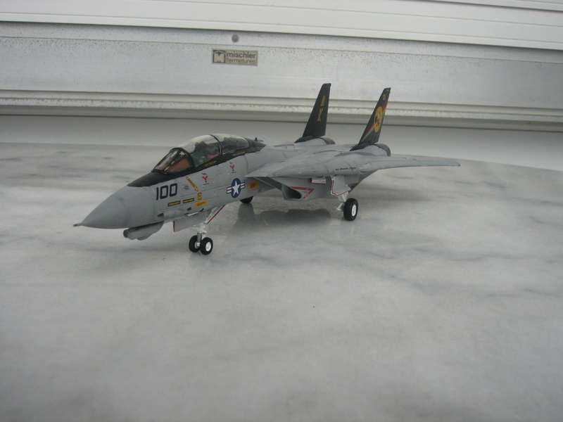 [REVELL] F-14D Tomcat P1010432