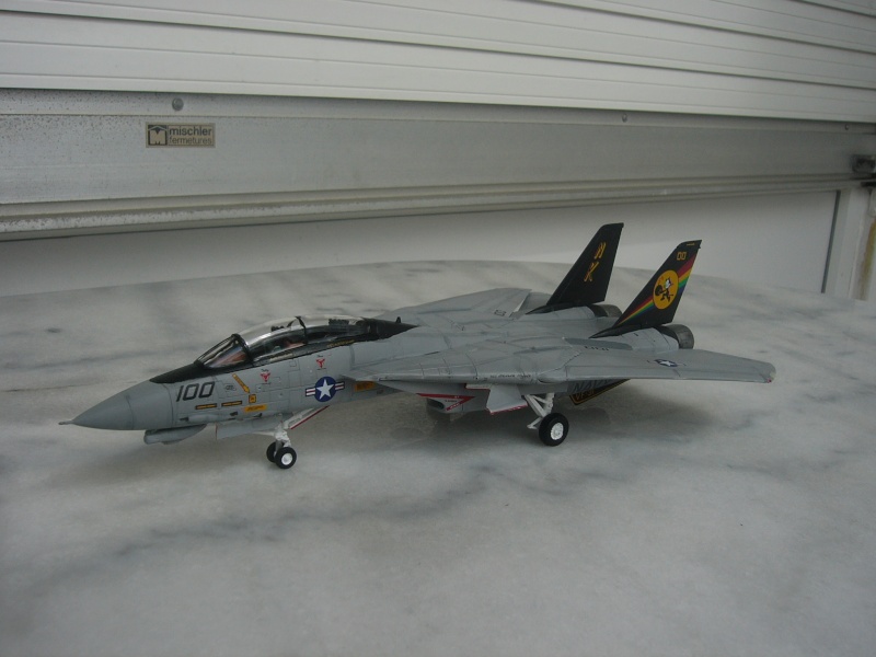 [REVELL] F-14D Tomcat P1010433