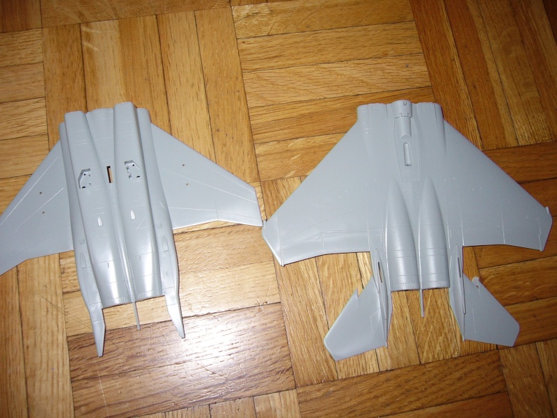 [Hobbyboss] F-15E Strike Eagle. P1010713