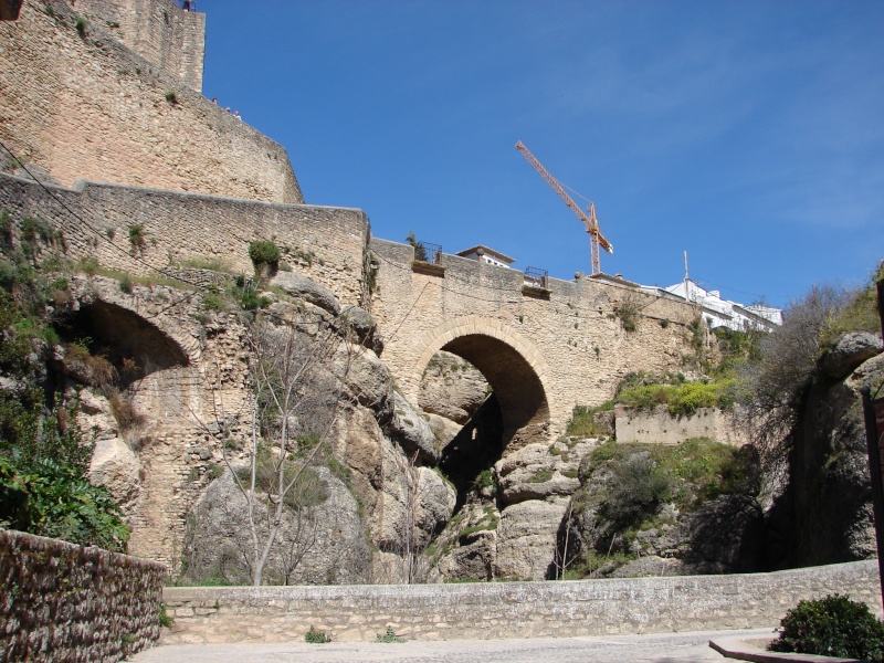 L'Andalousie Dsc03838