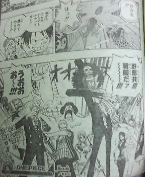 One piece 492 811