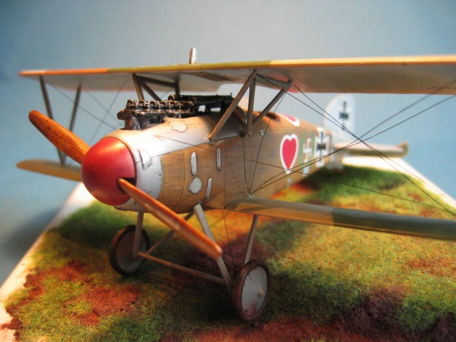 Albatros D.III Img_0021