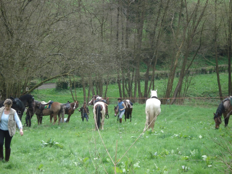 Dimanche : 35 km dans le Condroz profond Lilou_12