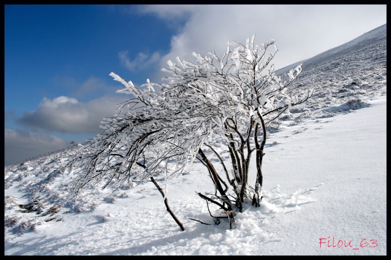 Photo paysage en auvergne (dbutant). _copie10