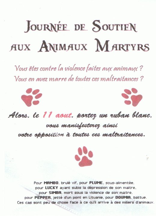Opération ruban blanc - soutien aux animaux martyrs 28406711