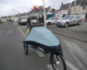 19 juin - Faites du vélo en Anjou - Bords de Loire - Page 3 Cimg0810