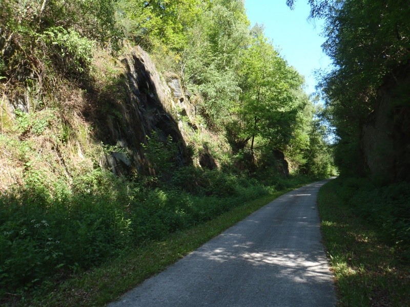 Piste cyclable de Wiltz (L) à BASTOGNE (B) dans le massif de l'Ardenne-ancienne ligne 164 P6040012