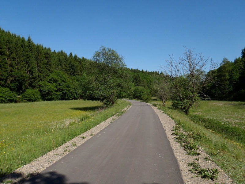 Piste cyclable de Wiltz (L) à BASTOGNE (B) dans le massif de l'Ardenne-ancienne ligne 164 P6040014