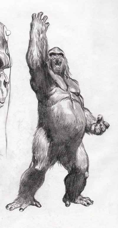 GORILLA  GRODD 98675-10