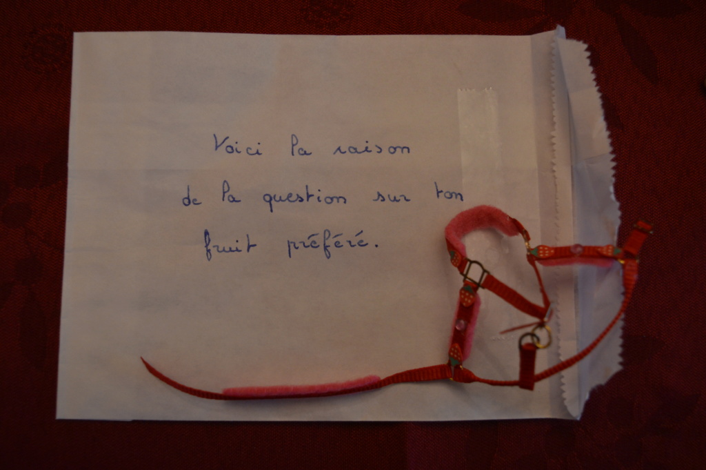 Puisqu'on le demande, voici venir le Secret Santa 2018 ! - Page 7 Dsc_0015