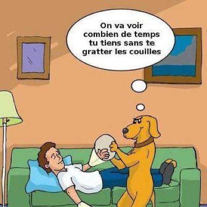 Humour en image ... - Page 25 Clip_i10