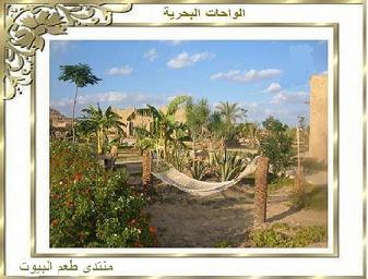 الموسوعة المصرية  الحديثة (موسوعة إجتماعية) بالصور. 5181