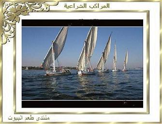 الموسوعة المصرية  الحديثة (موسوعة إجتماعية) بالصور. - صفحة 2 6153