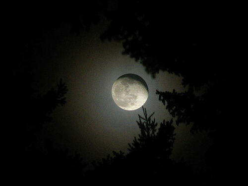 عندما يأتى المساء... هل ترون القمر بهذا الجمال ؟؟ A7d75710