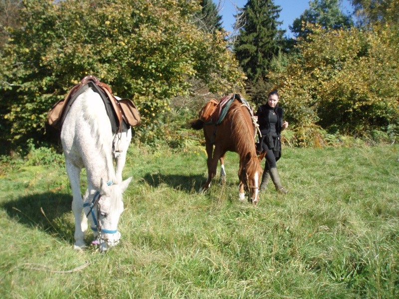 ballade 11 octobre avec choupy - Page 2 P4140216