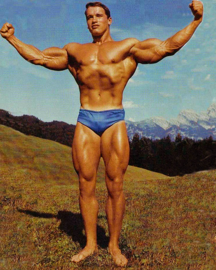 Arnold Schwarzenegger en photos - Page 12 20-210