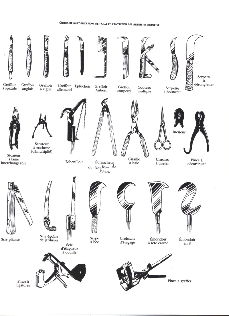 Les Outils Du Jardinier Fiche Pédagogique les outils du jardinier : cours d'initiation