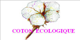 fleur de coton Coton212